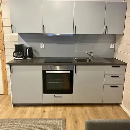 Pikkuporo F Ferienhaus Lukkarinsaari